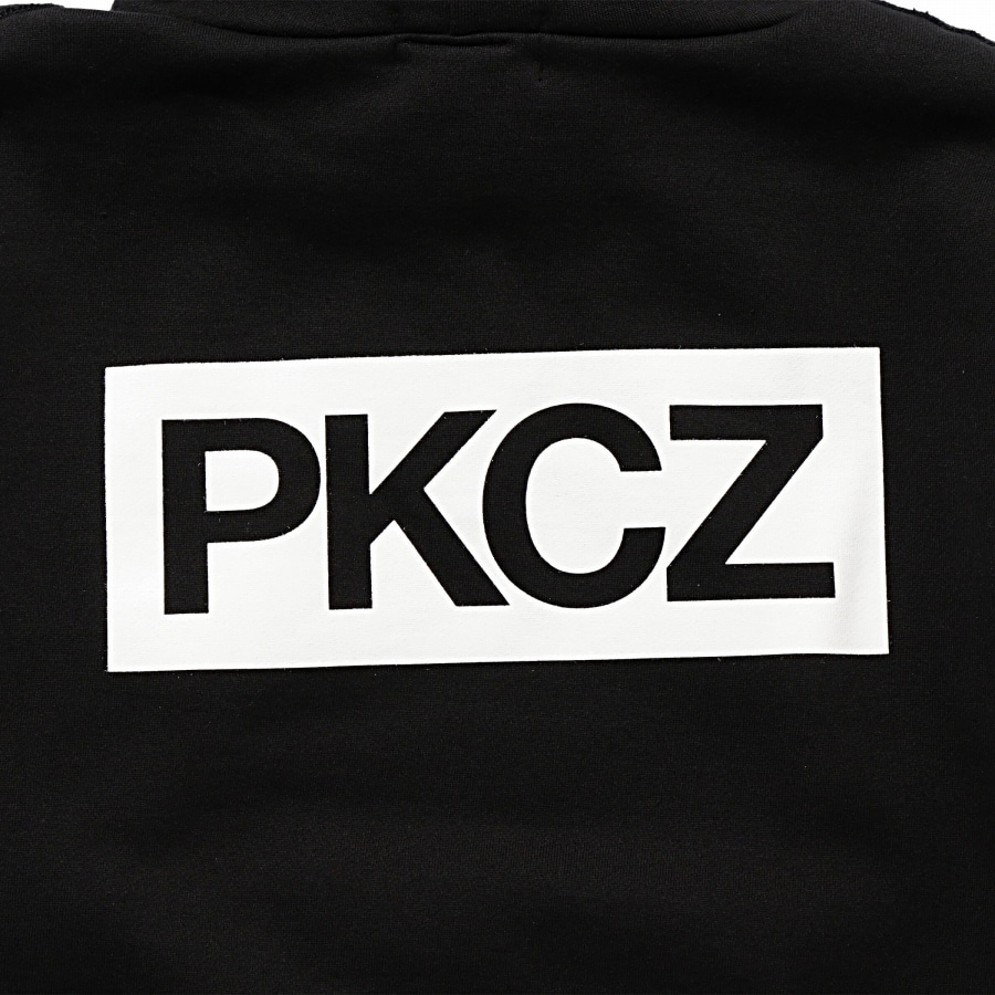 トップ 100 Pkcz ロゴ ざたなもめ