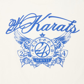 24K 19TH ANNIV. LS Tee 詳細画像