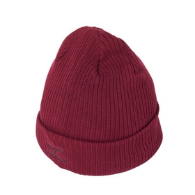PARALLEL QUEST BEANIE 詳細画像