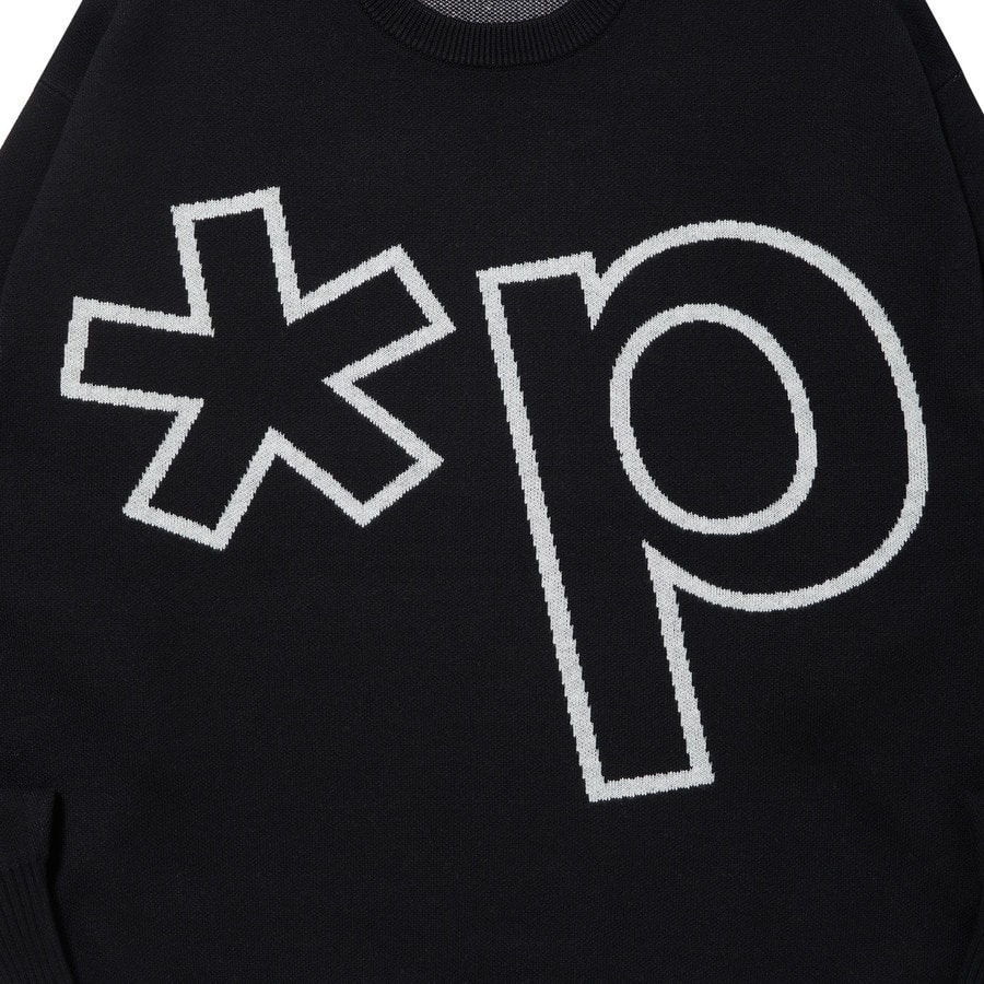 p(R)ojectR Logo Knit Sweater L-