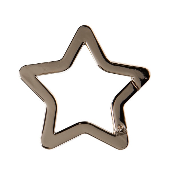 Star Logo Carabiner 詳細画像 Silver 1