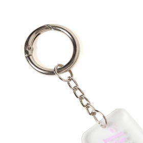 2nd Anniversary Logo Key Chain 詳細画像