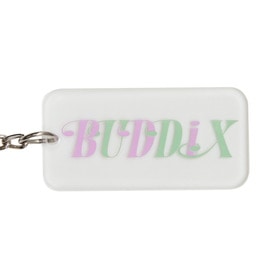 2nd Anniversary Logo Key Chain 詳細画像