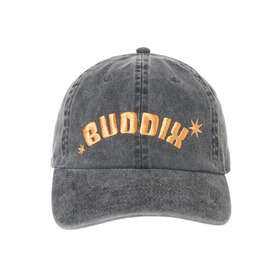Arch Logo Fade Color 6P Cap 詳細画像