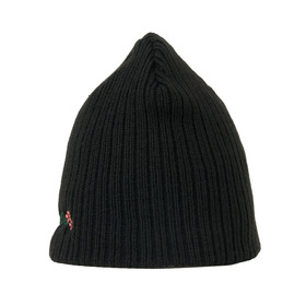 Ivy Logo EMB Benie cap 詳細画像
