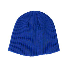 Ivy Logo EMB Benie cap 詳細画像