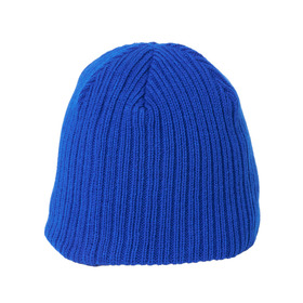 Ivy Logo EMB Benie cap 詳細画像