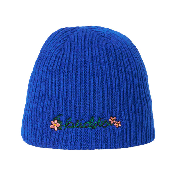 Ivy Logo EMB Benie cap 詳細画像 Blue 10