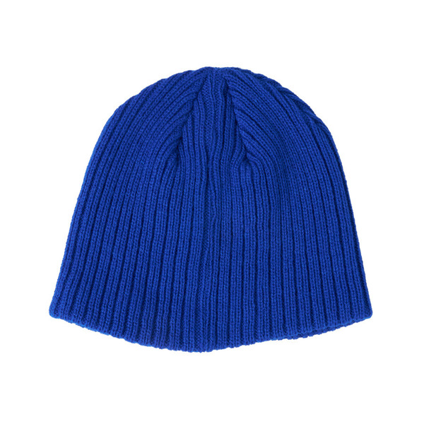 Ivy Logo EMB Benie cap 詳細画像 Blue 8