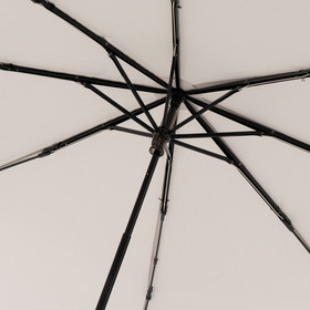 HUS. x buddix Arch Logo UV umbrella 詳細画像