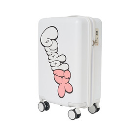 buddix Logo Carry Case 詳細画像