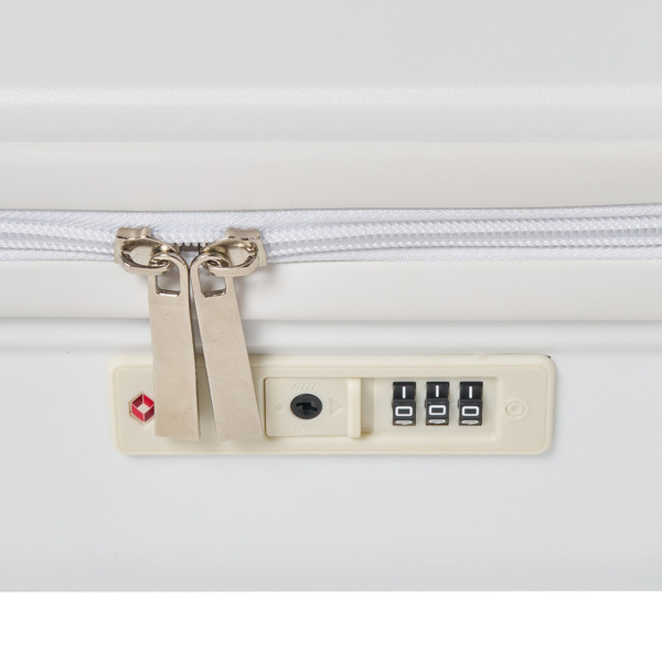 buddix Logo Carry Case 詳細画像 White 7