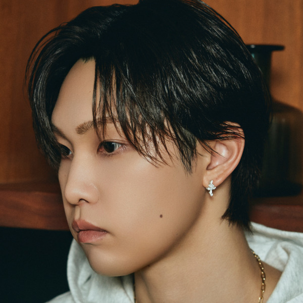 LOVE YOU Earrings 詳細画像 Silver 6