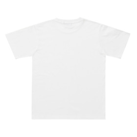 IX GRADATION SS TEE 詳細画像
