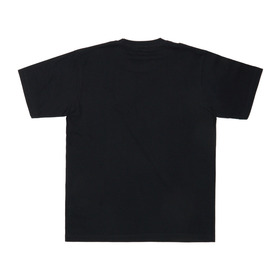 IX GRADATION SS TEE 詳細画像