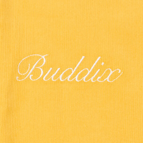 CORDUROY SURF WIDE SHORTS 詳細画像