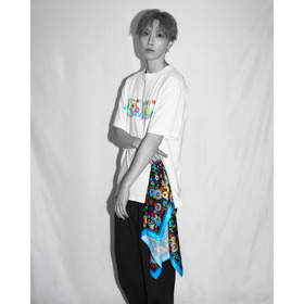 SF LINK SCARF 詳細画像
