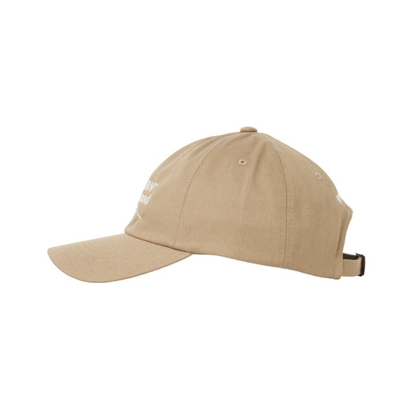 FLOWER STAND 6PANEL CAP 詳細画像 Beige 6