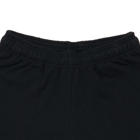 EMBLEM GRAPHIC SHORTS 詳細画像
