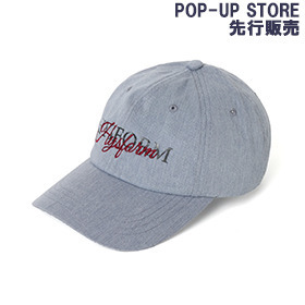 2TONE LOGO CAP