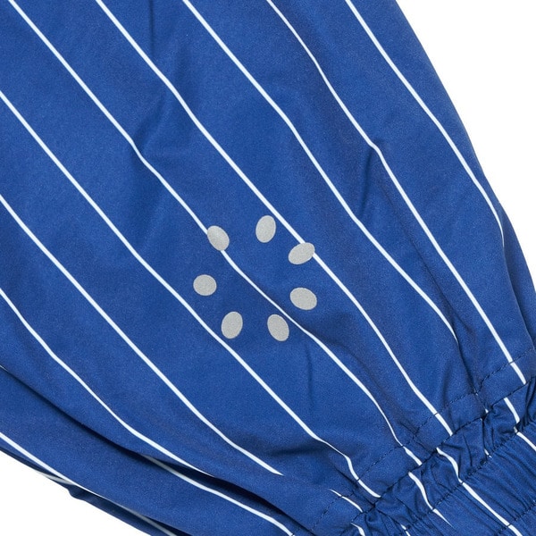 STRIPED TRACK JACKET 詳細画像 Blue 8