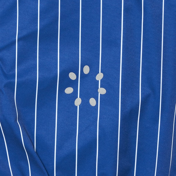 STRIPED TRACK PANTS 詳細画像 Blue 11