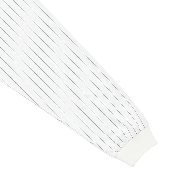 STRIPED LOGO LS TEE 詳細画像 White 3