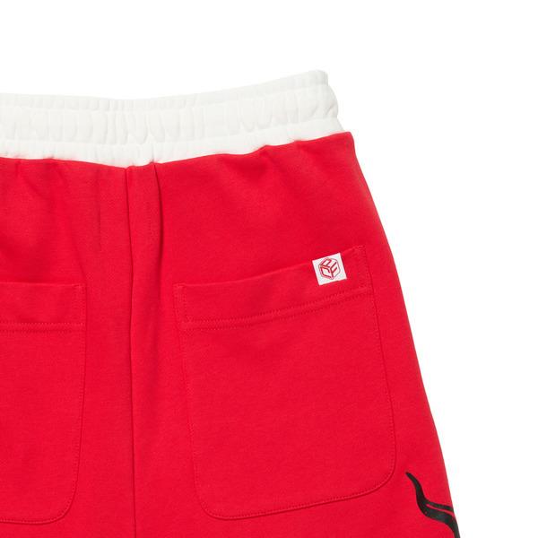 TRIBAL BAGGY SWEAT SHORTS 詳細画像 L.Blue 9