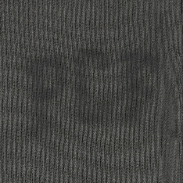 FADED SWEAT PANTS 詳細画像 C.Grey 5