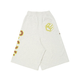 COLLEGE SIDE PRINT SHORTS 詳細画像