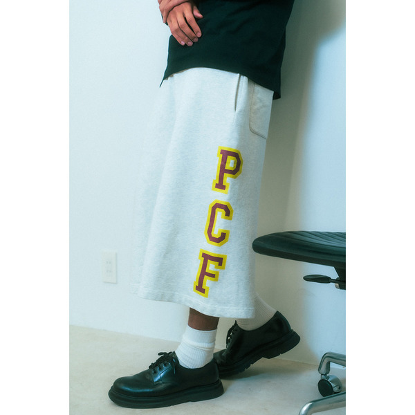 COLLEGE SIDE PRINT SHORTS 詳細画像 H.Grey 7