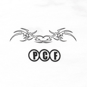 WMNS TRIBAL LS TEE 詳細画像