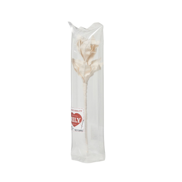 THE FLWRS RILY 詳細画像 Ivory 1