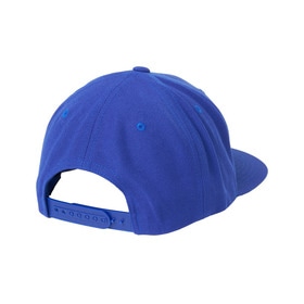 NPNG Logo BB Cap 詳細画像