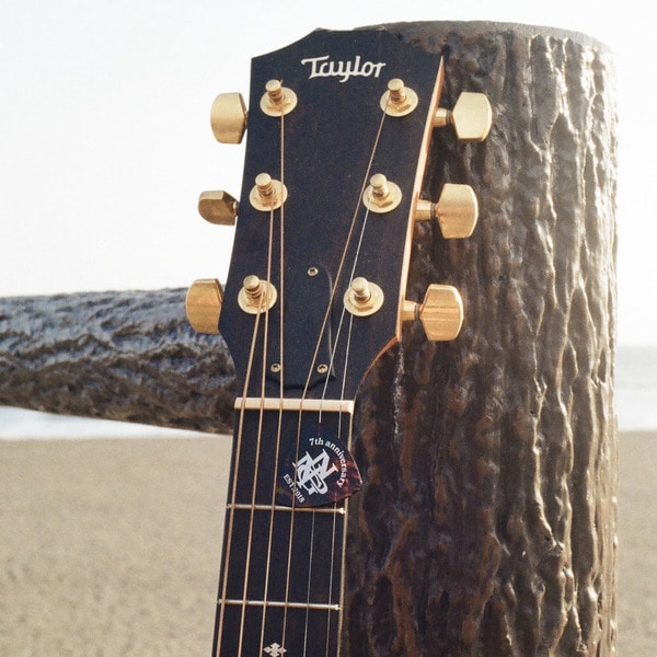 NPNG Guitar Pick Set 詳細画像 Multi 7