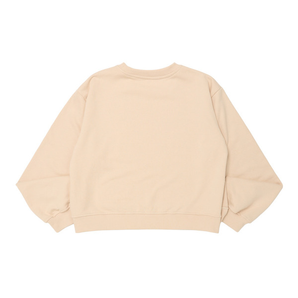 WMNS Surf Logo Crewneck 詳細画像 Brown 1