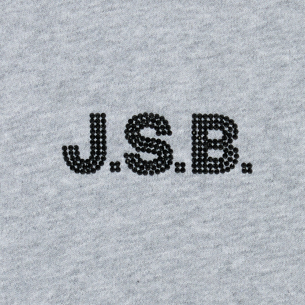Rhinestone Logo Hoodie 詳細画像 Grey 8