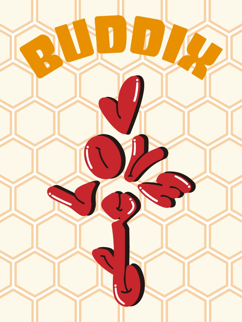 buddix